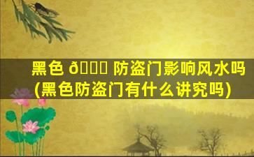 黑色 🐈 防盗门影响风水吗(黑色防盗门有什么讲究吗)